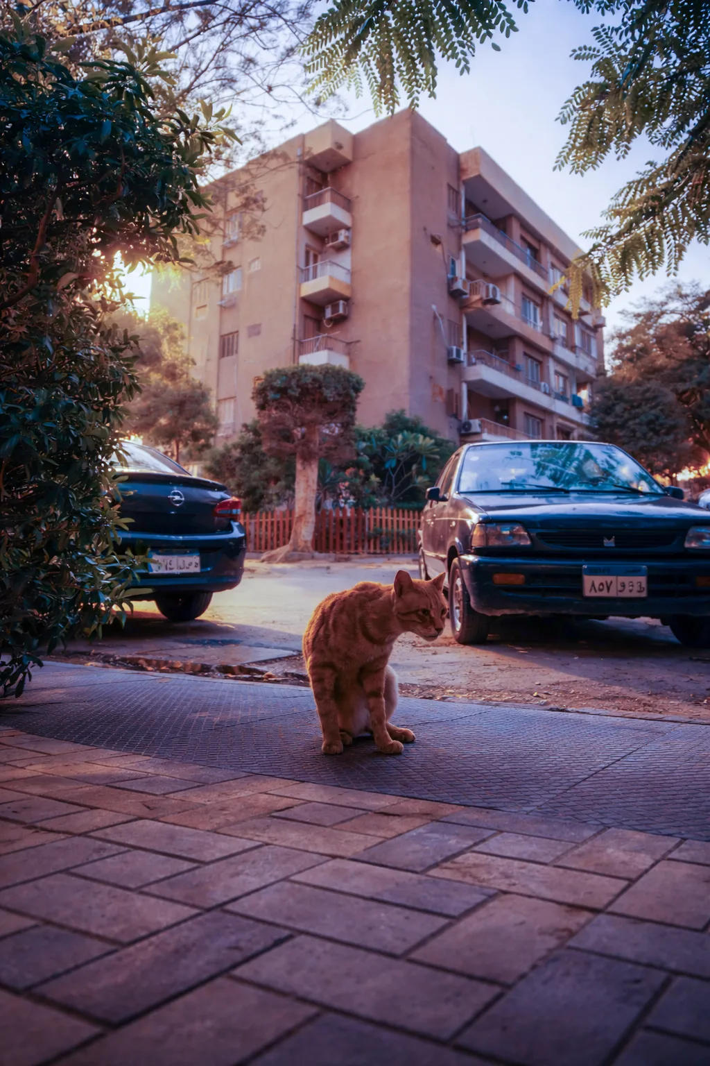 120f7c34 F263 4ed4 8e4a E3c74440f5bb