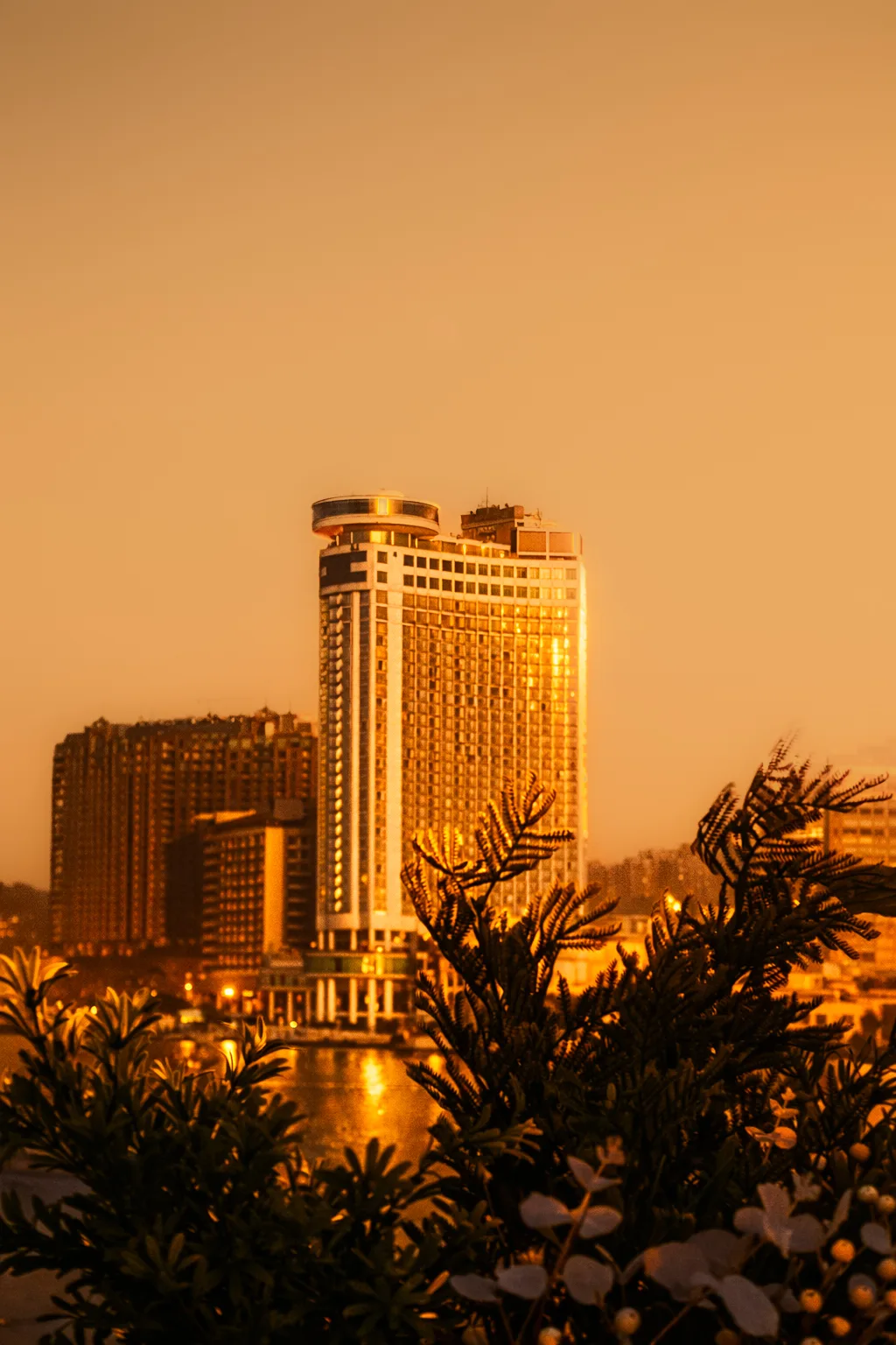 2ec51029 C53b 4a60 Aa0e C770118293d6