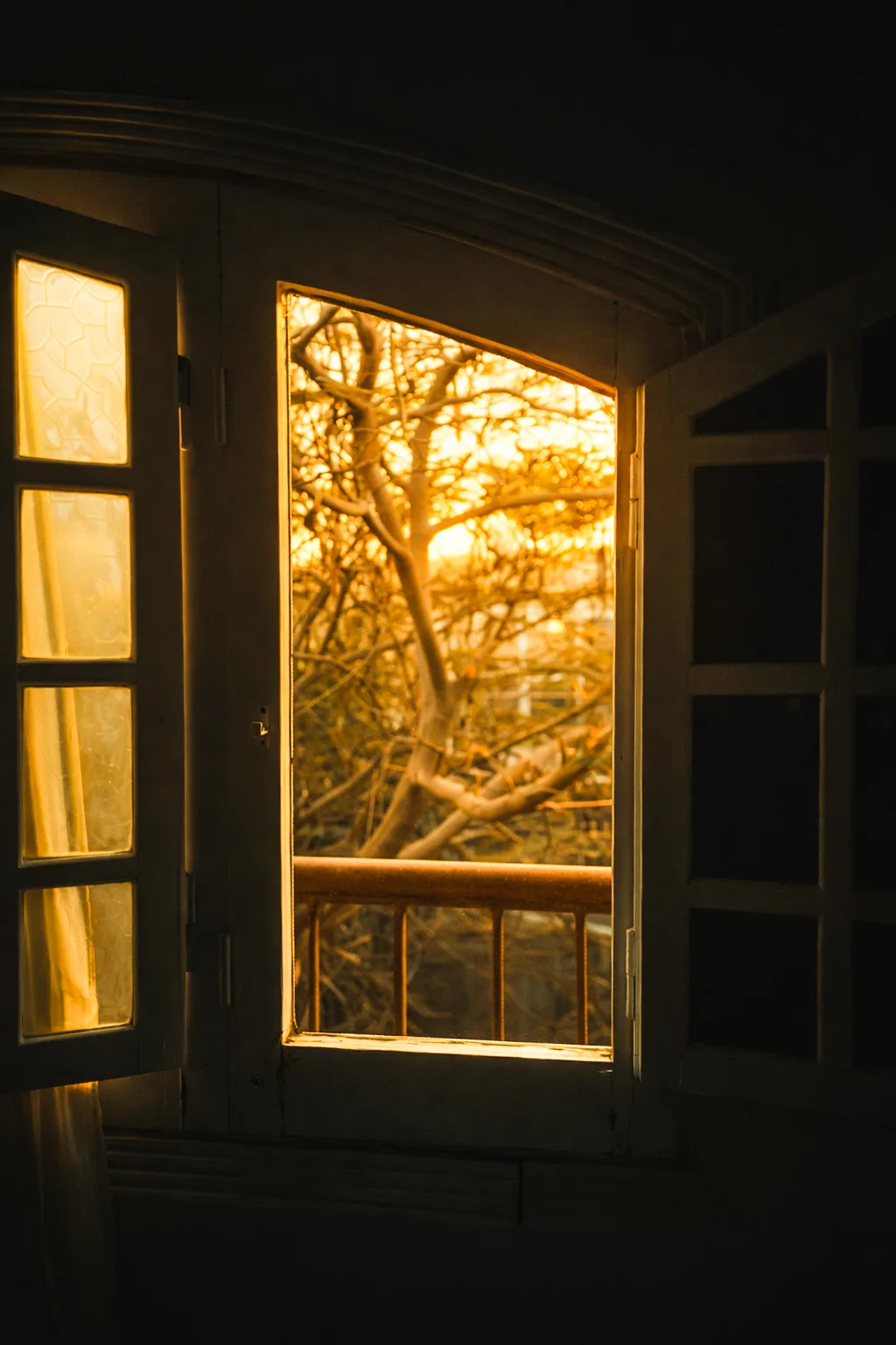 3d65f585 020e 4ef8 B023 5cec159209d5