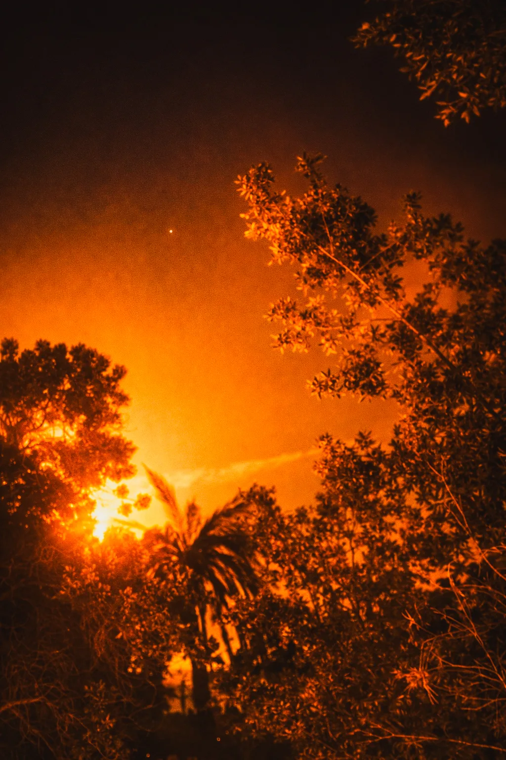 50294fb5 2412 4ef0 9f97 4da19c4120bf