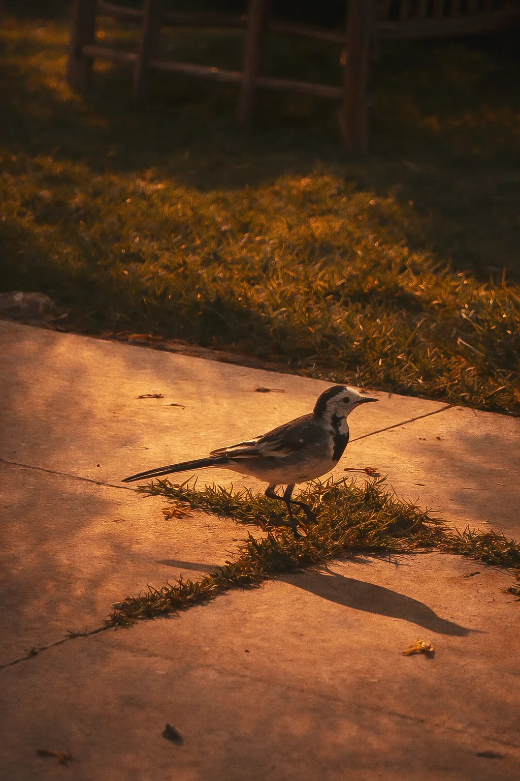 5e7a822f 35ce 4c29 Ad27 Dfd31bffd35d