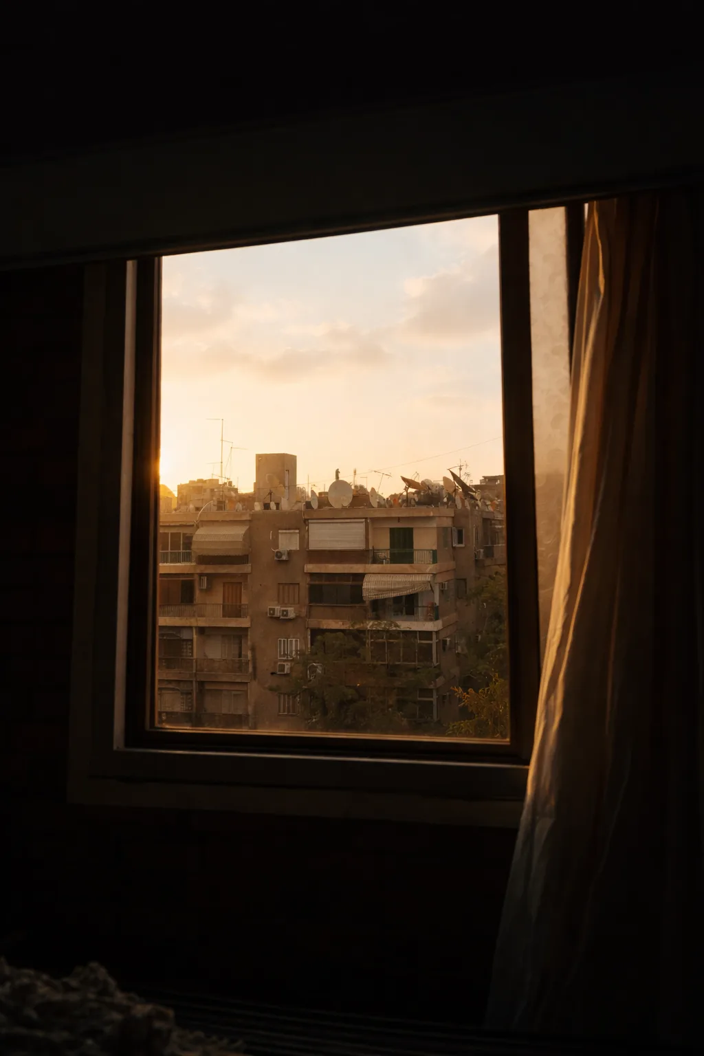 612d84ec 7e7b 4278 Ad18 75f16f0e4739