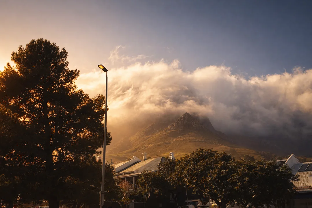 7976d2e1 82ea 4333 96b4 Ed43bd5b28f9