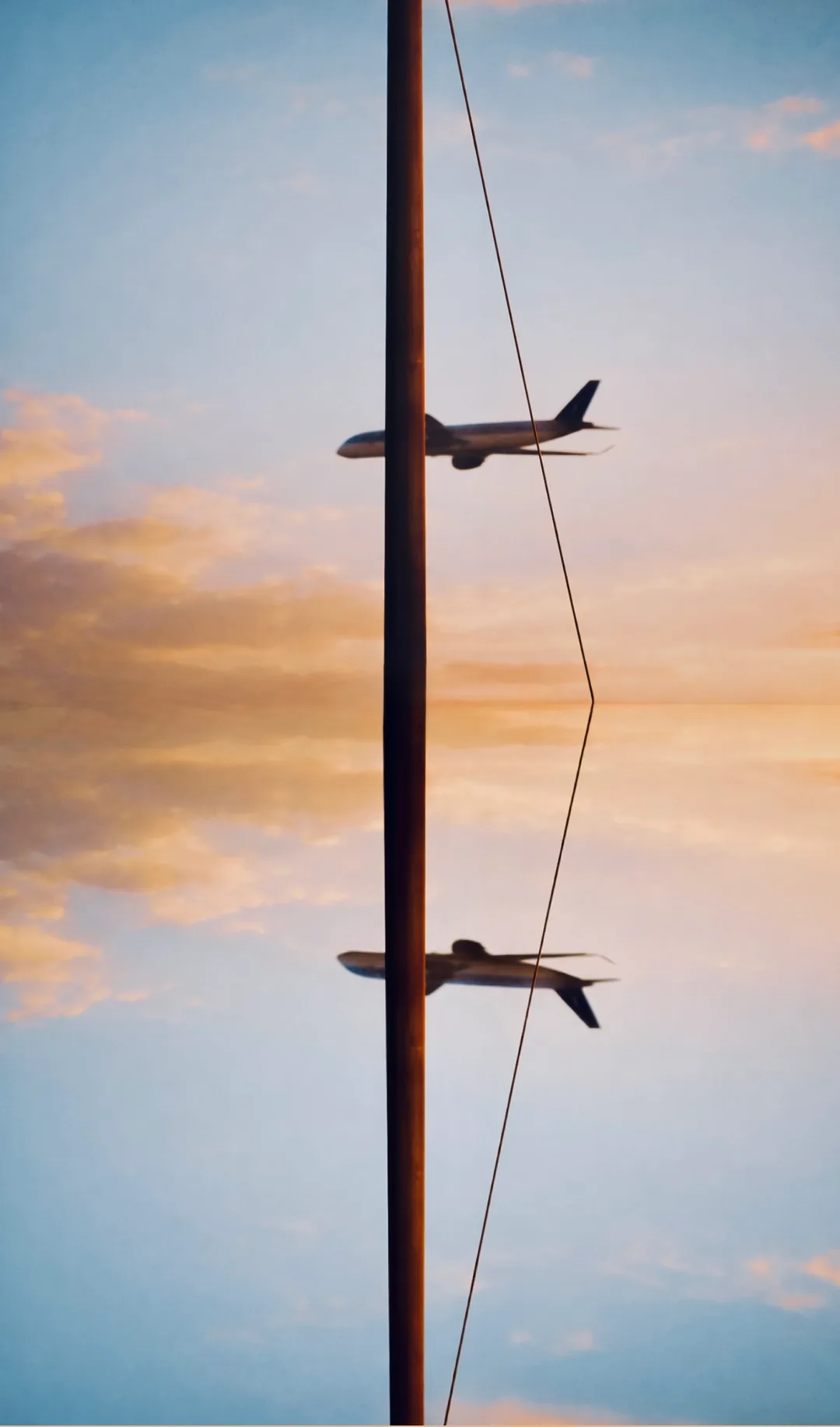 9b267891 D71e 4560 9cc1 2cd79c1696fb