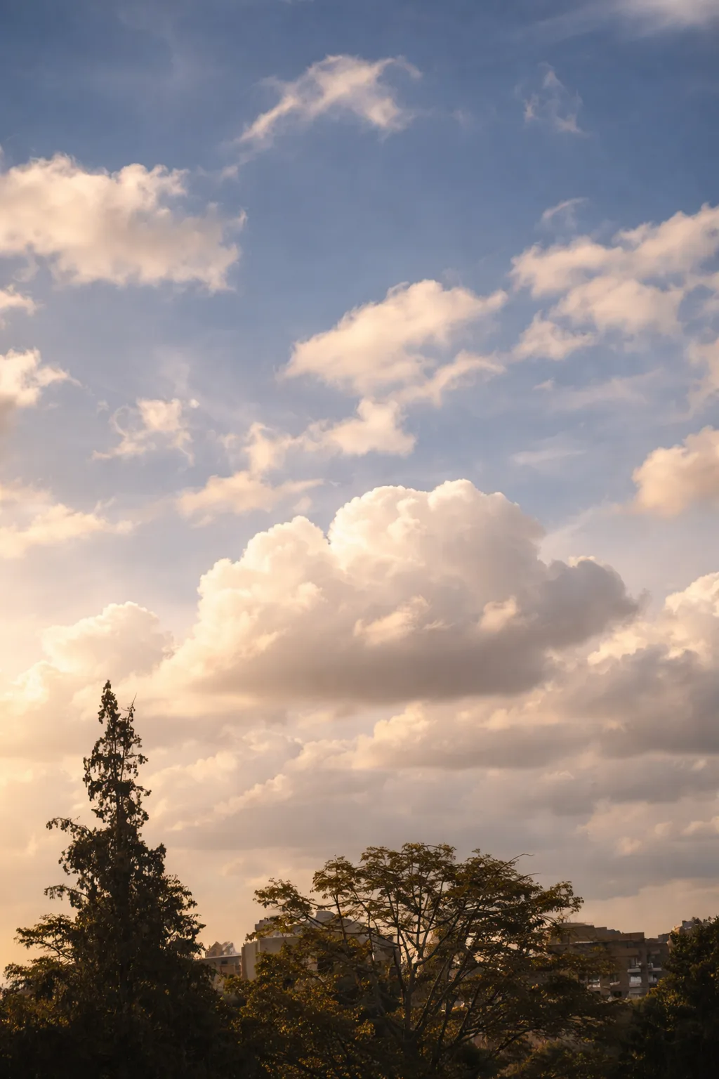 A48f6dd9 E373 4620 9c5b 347a67903745