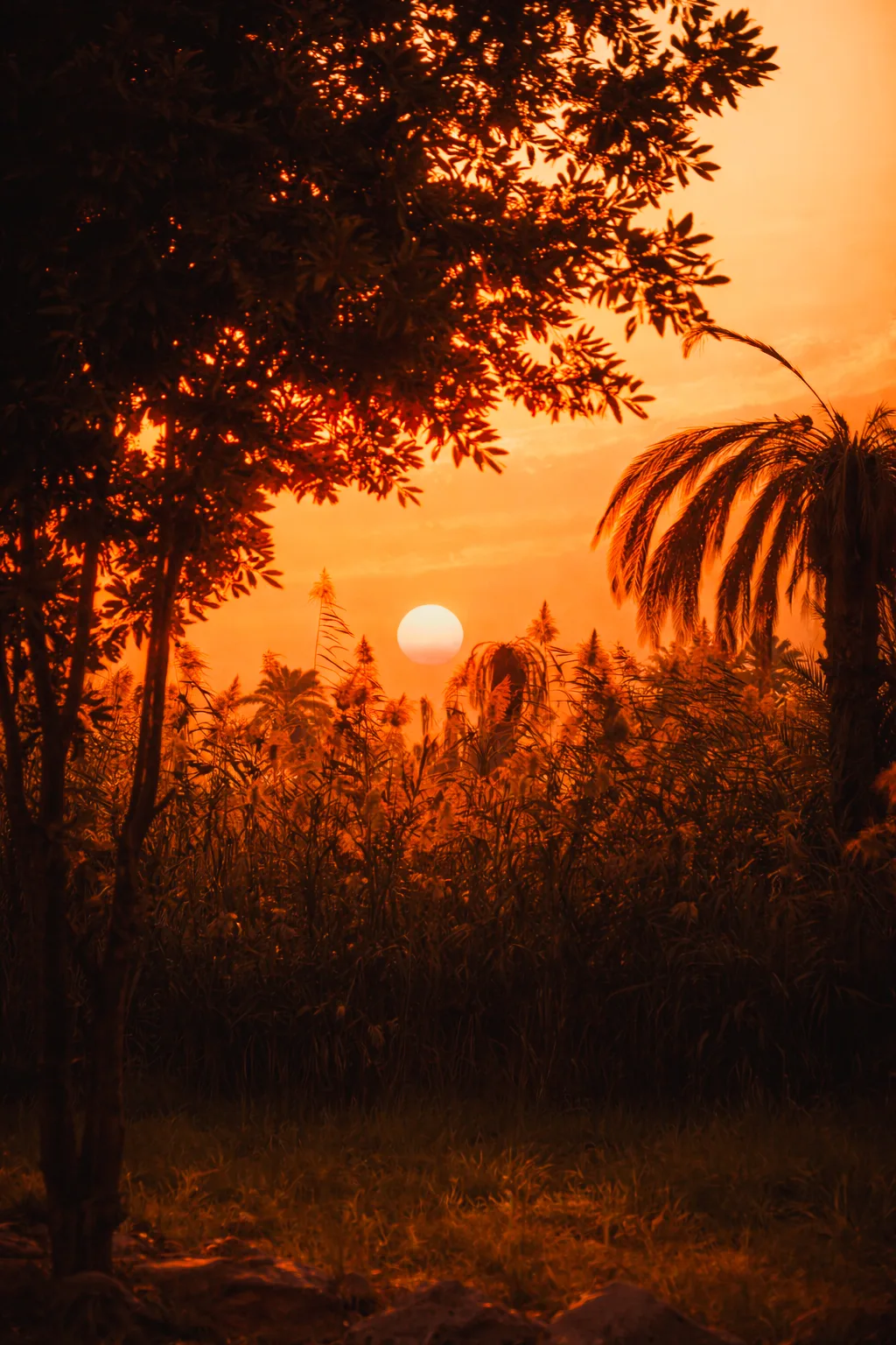 Afe89119 C18d 4c9b 9e74 368900228124