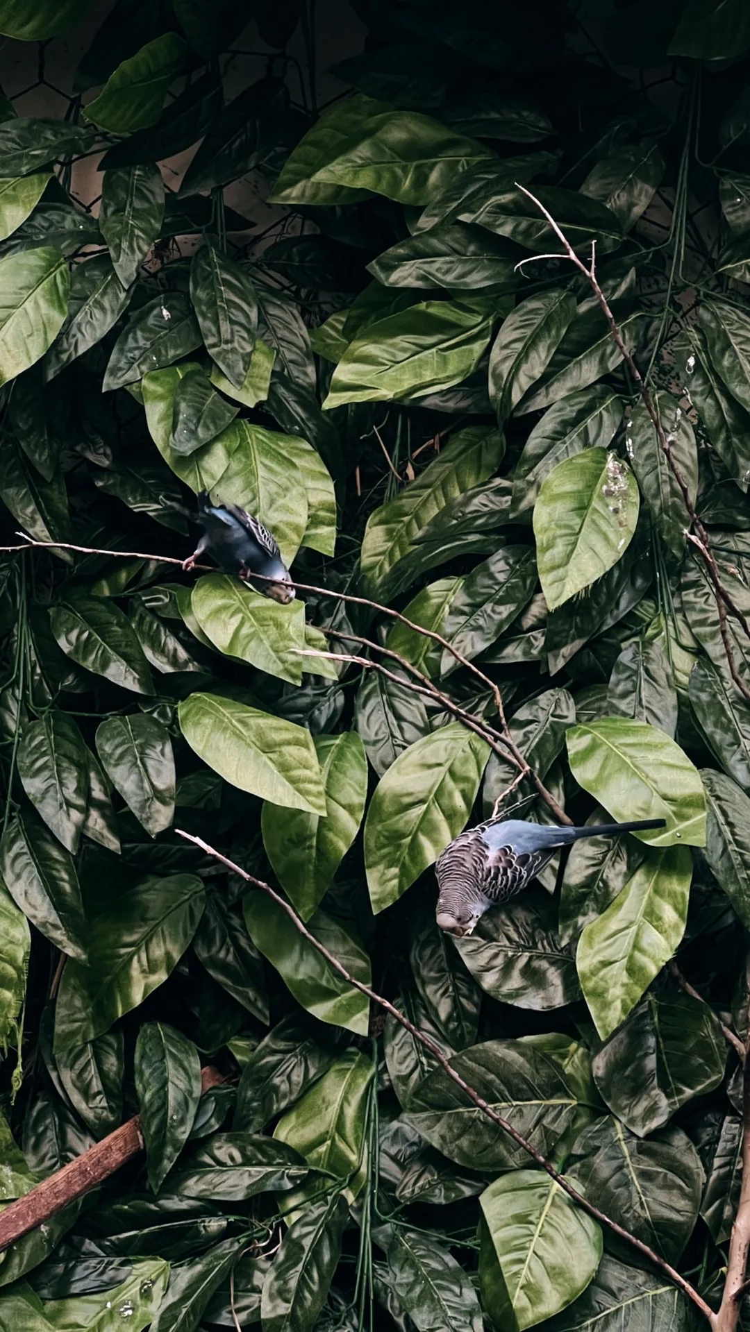 Cb8439e2 A8d8 4525 8fc0 Fdf37fbede0e