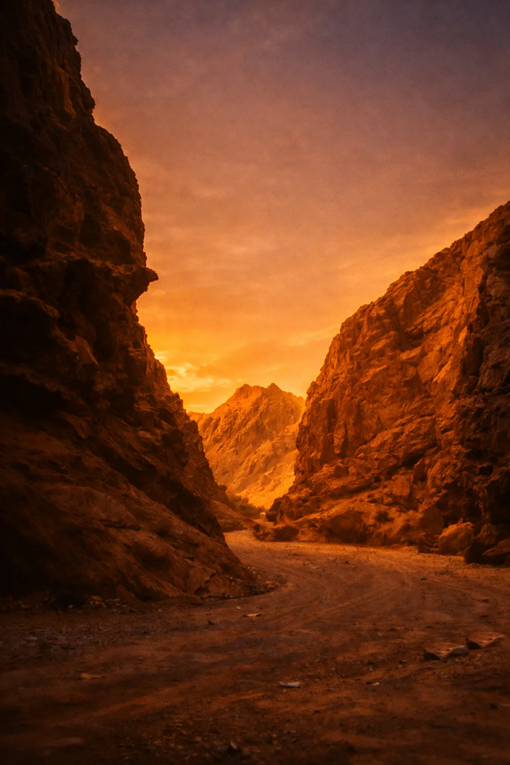 F02554e9 8643 4587 Abac 9f15d17ac645